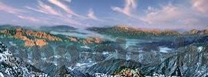开云体育平台官方下载-探索开云体育平台，官方下载渠道及用户体验分析