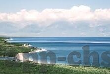 新浪体育 足球比分-新浪体育足球比分，球迷的实时战场，激情与数据的交响曲